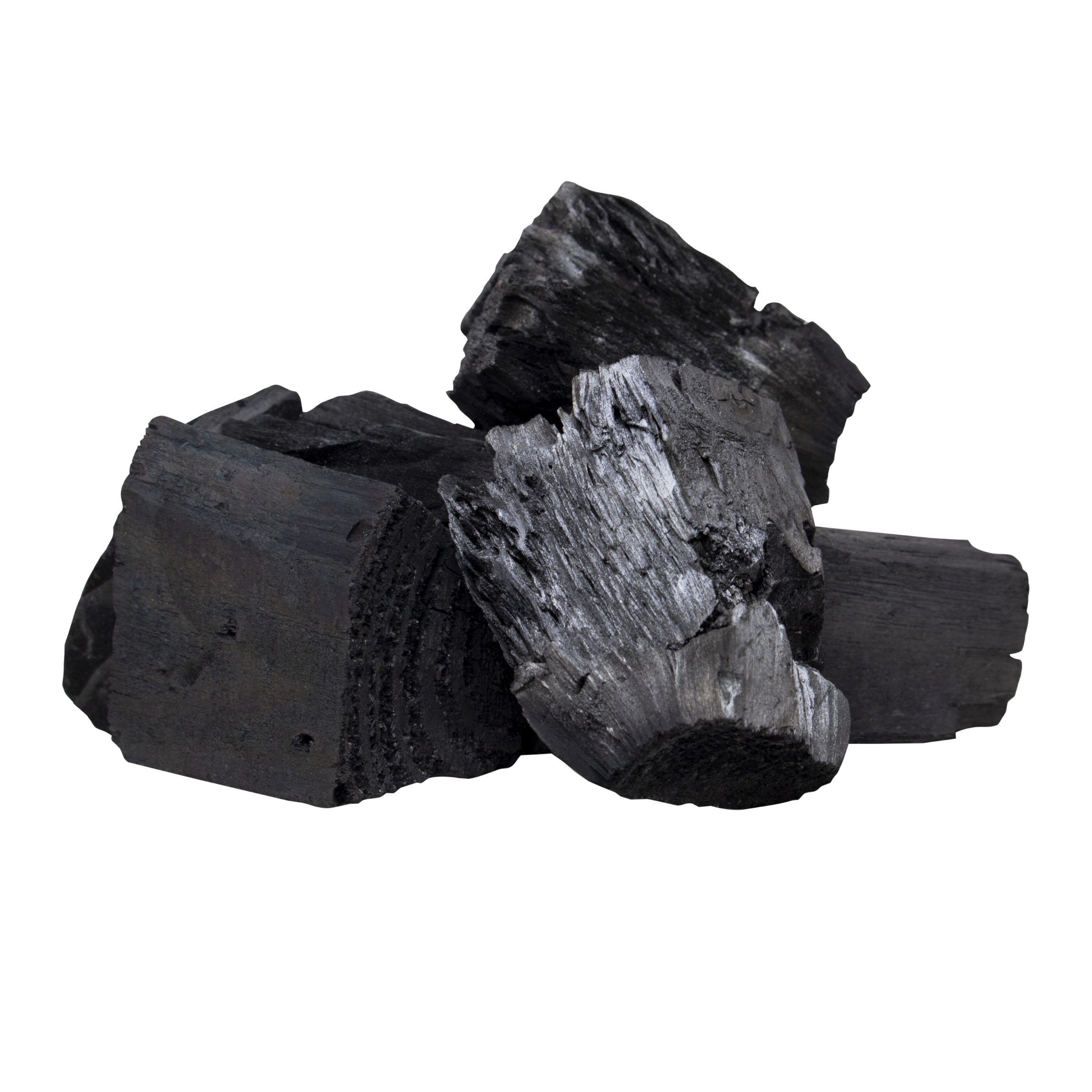 Coffee Charcoal